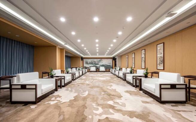 香蕉APP视频下载商用家具-贵宾接待室家具